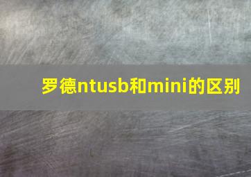 罗德ntusb和mini的区别