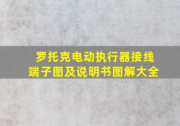 罗托克电动执行器接线端子图及说明书图解大全