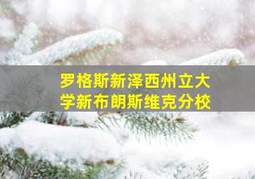 罗格斯新泽西州立大学新布朗斯维克分校