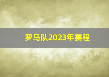 罗马队2023年赛程