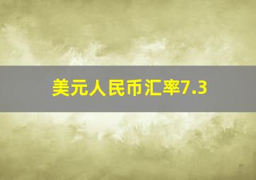 美元人民币汇率7.3