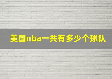 美国nba一共有多少个球队