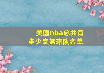 美国nba总共有多少支篮球队名单