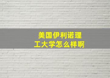 美国伊利诺理工大学怎么样啊