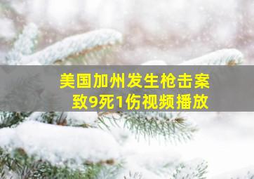 美国加州发生枪击案致9死1伤视频播放