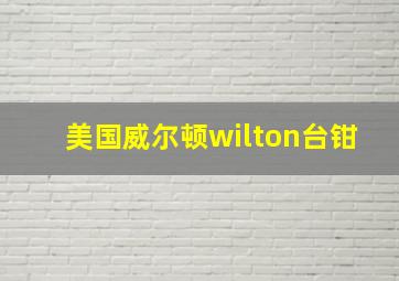 美国威尔顿wilton台钳