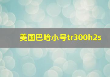 美国巴哈小号tr300h2s