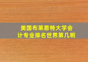 美国布莱恩特大学会计专业排名世界第几啊