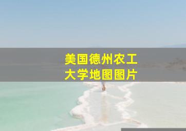 美国德州农工大学地图图片