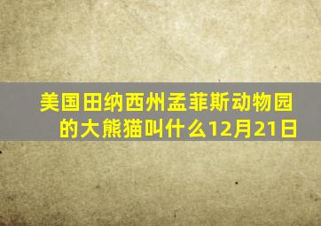 美国田纳西州孟菲斯动物园的大熊猫叫什么12月21日