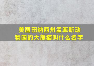 美国田纳西州孟菲斯动物园的大熊猫叫什么名字