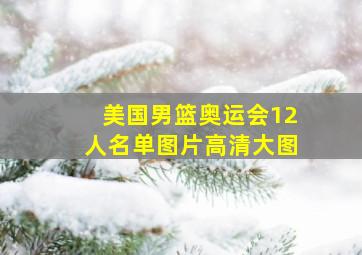 美国男篮奥运会12人名单图片高清大图