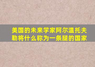 美国的未来学家阿尔温托夫勒将什么称为一条腿的国家