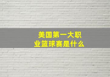 美国第一大职业篮球赛是什么