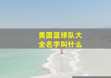 美国篮球队大全名字叫什么