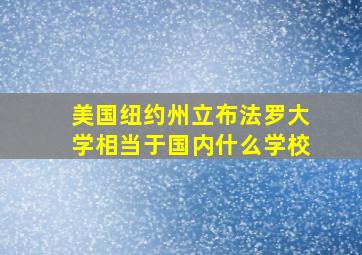 美国纽约州立布法罗大学相当于国内什么学校