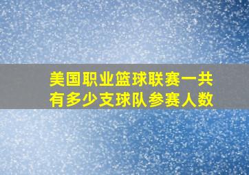 美国职业篮球联赛一共有多少支球队参赛人数