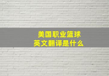 美国职业篮球英文翻译是什么