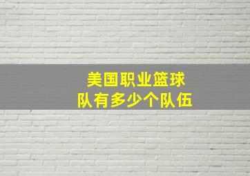 美国职业篮球队有多少个队伍