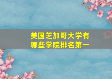 美国芝加哥大学有哪些学院排名第一