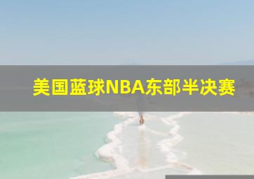 美国蓝球NBA东部半决赛