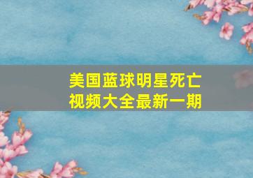 美国蓝球明星死亡视频大全最新一期