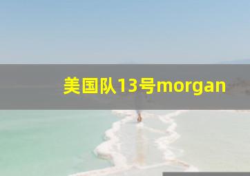 美国队13号morgan