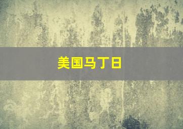 美国马丁日