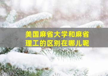 美国麻省大学和麻省理工的区别在哪儿呢