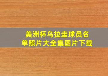 美洲杯乌拉圭球员名单照片大全集图片下载