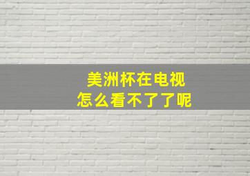 美洲杯在电视怎么看不了了呢