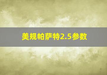 美规帕萨特2.5参数