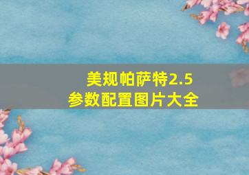 美规帕萨特2.5参数配置图片大全