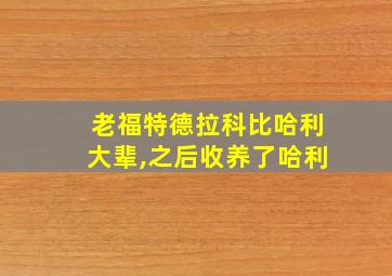 老福特德拉科比哈利大辈,之后收养了哈利