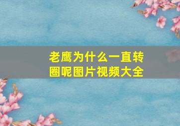 老鹰为什么一直转圈呢图片视频大全