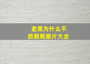 老鹰为什么不抓鹅呢图片大全