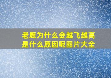 老鹰为什么会越飞越高是什么原因呢图片大全