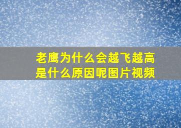 老鹰为什么会越飞越高是什么原因呢图片视频