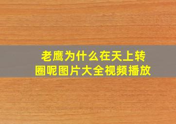 老鹰为什么在天上转圈呢图片大全视频播放