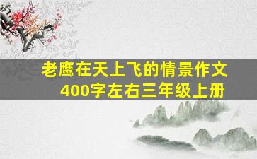 老鹰在天上飞的情景作文400字左右三年级上册