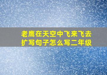 老鹰在天空中飞来飞去扩写句子怎么写二年级