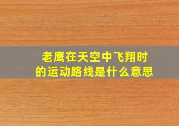 老鹰在天空中飞翔时的运动路线是什么意思