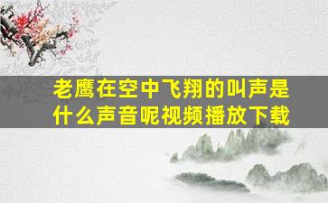 老鹰在空中飞翔的叫声是什么声音呢视频播放下载