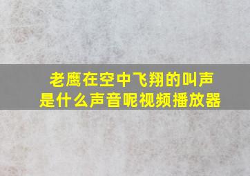 老鹰在空中飞翔的叫声是什么声音呢视频播放器