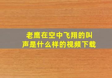 老鹰在空中飞翔的叫声是什么样的视频下载