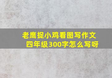 老鹰捉小鸡看图写作文四年级300字怎么写呀