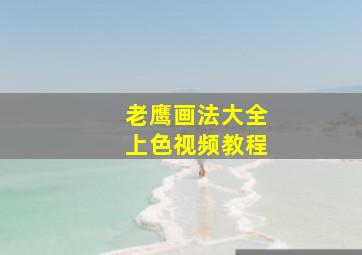 老鹰画法大全上色视频教程