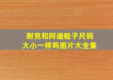 耐克和阿迪鞋子尺码大小一样吗图片大全集