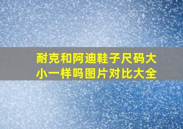 耐克和阿迪鞋子尺码大小一样吗图片对比大全