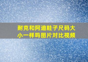 耐克和阿迪鞋子尺码大小一样吗图片对比视频